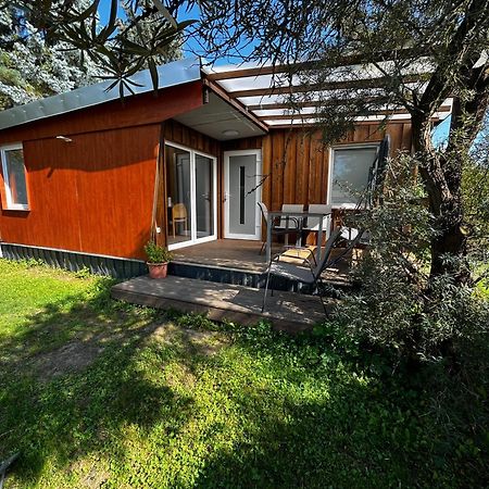 Ferienhaus Zeulenrodaer Meer Buitenkant foto